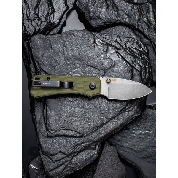 CIVIVI Baby Banter C19068S-5 Mini Folder Nitro-V Stahl G10 Green