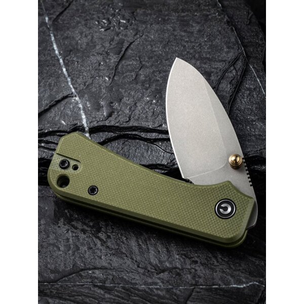 CIVIVI Baby Banter C19068S-5 Mini Folder Nitro-V Stahl G10 Green
