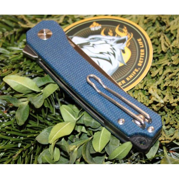 QSP Knife OSPREY QS139-B Messer Folder 14C28N Stahl Micartagriff BLUE