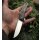 QSP Knife OSPREY QS139-F1 Messer Folder 14C28N Stahl Kohlefasergriff RED