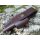 Brisa Necker 70 Sc EDC Messer 12C27 Stahl Olivenholz mit MultiCarry Scheide