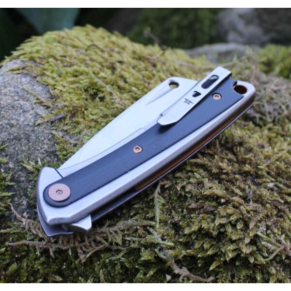 Buck Messer HILINE D2 Stahl Cleaver Taschenmesser