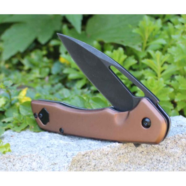 Rough Ryder Folder NIGHT OUT Framelock Tan