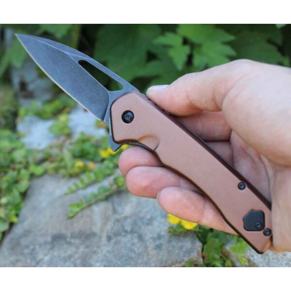 Rough Ryder Folder NIGHT OUT Framelock Tan