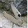 Spyderco Para Military 2 Micarta CPM-CruWear Micarta Braun Taschenmesser 01SP1137