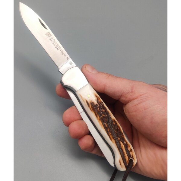 Joker Canguro III 4116 Horn Mehrfarbig