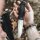 Böker Solingen Bronco CPM-3V Stahl TPE Griff Feuerstarter Outdoormesser Bushcraft 121504