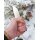 Joker Erizo TS1 N695 Stahl Micarta Orange inkl. Paracord Lederscheide