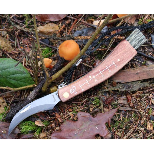 Albainox Pilzmesser Mushroom Knife mit Kordel und Etui
