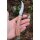 Albainox Pilzmesser Mushroom Knife mit Kordel und Etui