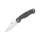 Spyderco Para Military 2 Micro-Melt Maxamet G10 Grau 01SP244