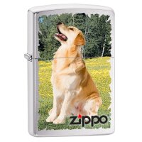 ZIPPO chrom gebürstet Golden Retriever Design