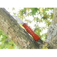 Albainox Cuerda Pilzmesser mit Bürste + Etui