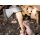 Böker Plus APPALACHIAN AXE SMALL Axt Tomahawk 09BO256
