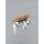 Victorinox Companion Wood Swiss Spirit 2023 Limited Edition