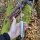 J&V Forester Knives Anubis Carbonstahl Hirschhorn Horn inkl. Lederscheide braun Handmade