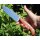 J&V Forester Knives Anubis MoVa Stahl Cocoboloholz inkl. Lederscheide
