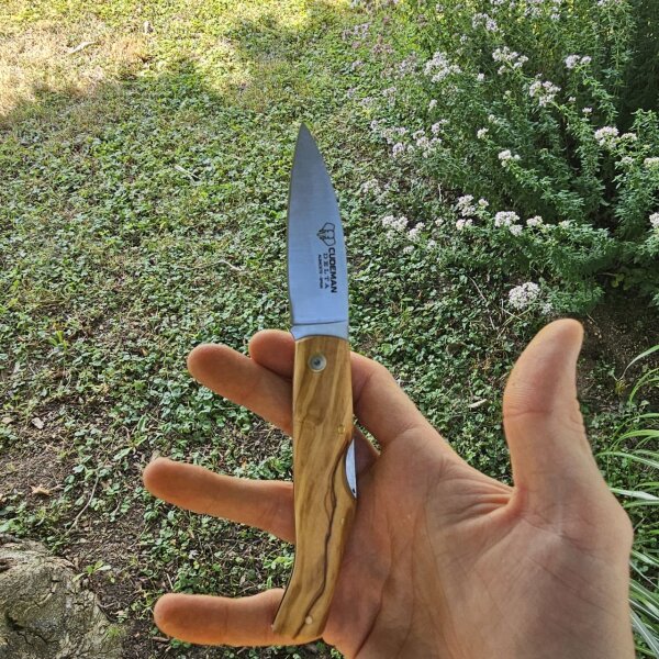 Cudeman Delta 344-L Backlock Folder MoVa Stahl Olivenholz