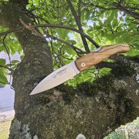Cudeman Delta 344-L Backlock Folder MoVa Stahl Olivenholz