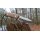 Joker Rabbit Jagdmesser 4416 Stahl Bocoteholz inkl. Lederscheide