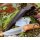 Joker Rabbit Jagdmesser 4116 Stahl Olivenholz inkl. Lederscheide
