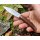 Joker Campera Slipjoint 4116 Stahl Walnussholz 70 mm Klinge