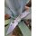 Spyderco Para 3 Camo CPM-S-45N Stahl Compression Lock Tarn Camouflage 01SP242
