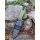 Victorinox Venture Green Outdoormesser Messer grün